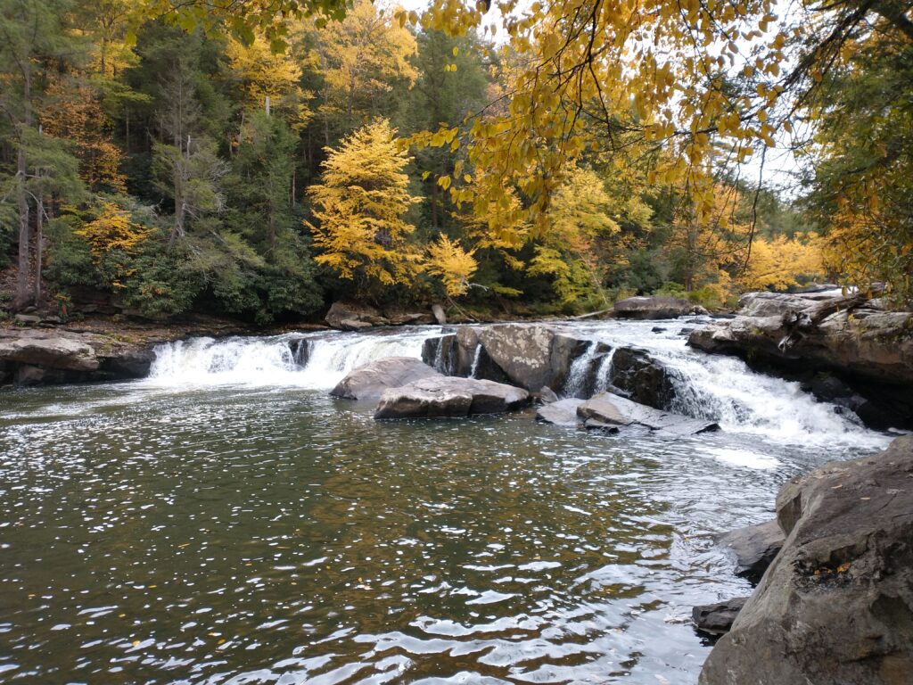 A large stream with small waterfalls set against a backdrop of autumn foliage. Taken by me in 2022.