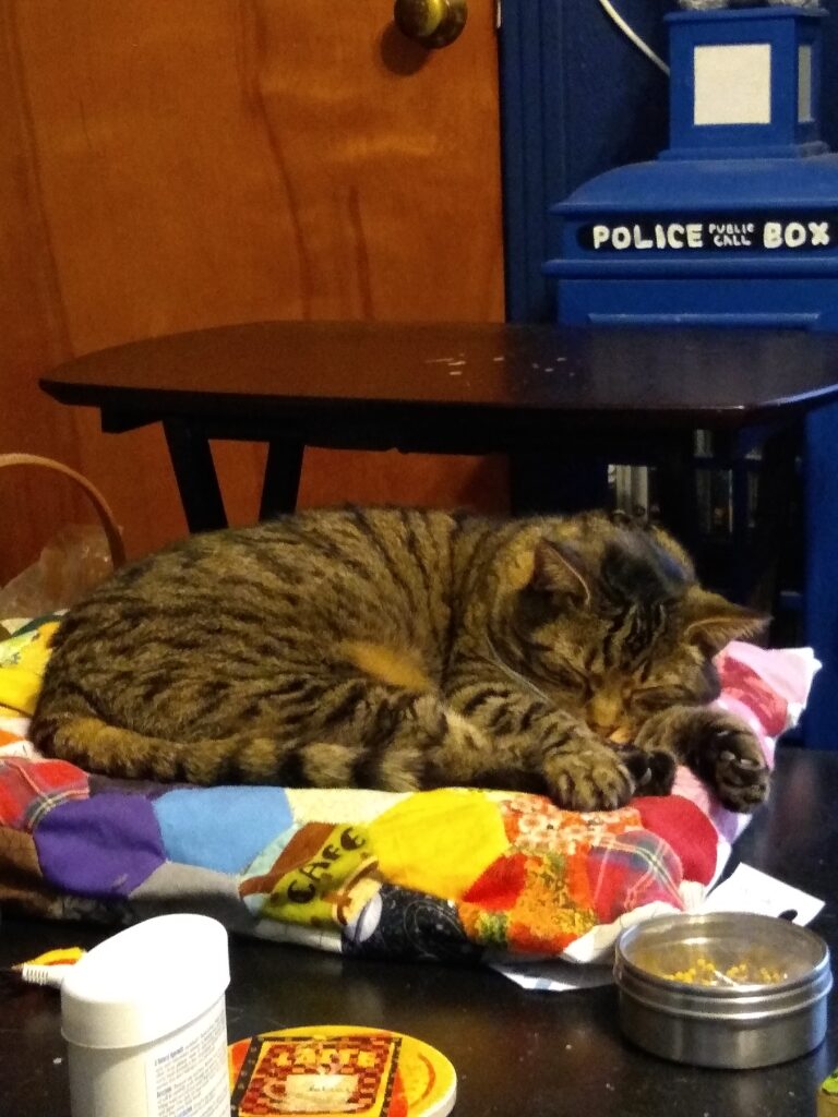 A gray-brown tabby cat sleeping on a brightly colored bed