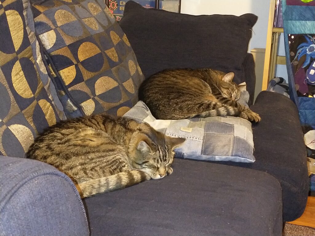 Two grayish-brown striped tabby cats sleeping on a blue couch